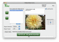 Watermark software, image resizer, converter.