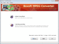 Screenshot of Boxoft MPEG Converter 1.0