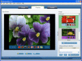 Screenshot of Flash Gallery Builder 1.55