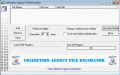 Screenshot of Collection Agency File Decimator 1.0