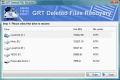 Screenshot of GRT NTFS Undelete 2.6
