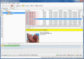 Screenshot of FileRescue for FAT 4.9