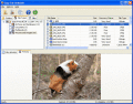 Screenshot of Easy NTFS File Undelete 3.0