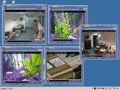 Screenshot of Capturix VideoSpy 8.04.2230