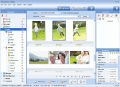Popular digital photo management software.