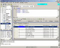 Screenshot of SQL-Studio (Informix-Studio) 1.5.2.134