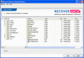 Screenshot of Recover Data for Novell 1.0