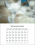 Screenshot of Calendars Software for calendars 9.0