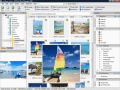 Screenshot of ACDSee Photo Manager 2009 11.0.113