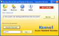 Screenshot of Kernel Access Password Recovery Software 4.02