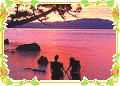 Screenshot of Couples enjoy the sunset with dolphins 2.0