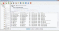 Screenshot of Web Server Monitor 4.5.0.2