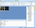 Screenshot of Flex Decompiler 5.3