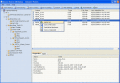 Screenshot of MS Windows Backup Restore Tool 2.1