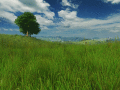 Screenshot of Grassland 3D Screensaver 1.0