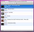 Screenshot of MediaHuman Video Converter MAC 1.1