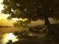Screenshot of Lake Tree 3D Screensaver 1.0