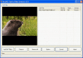 Screenshot of Flash to MPG Converter v2.0
