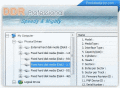 Screenshot of DDR Data Recovery 4.0.1.6
