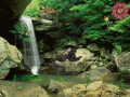 Screenshot of Jungle Falls 3.0