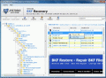 Screenshot of Need BKF Repair Tool to Extract BKF File Contents 5.4