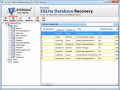 Screenshot of SQLite File Repair 1.0