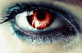 Screenshot of Perfect Eyes Animated Wallpaper 1.0