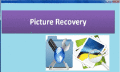 Screenshot of Picture Recovery 4.0.0.32