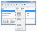 Screenshot of DiskSorter Server 9.5.12