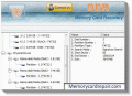 Screenshot of Download Memory Card Repair 4.0.1.6