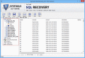 Screenshot of Corrupt SQL 2008 Recovery 5.3
