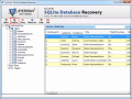 Screenshot of SQLite Recovery Software 1.0