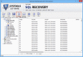 Screenshot of Repair MDF Database 5.3