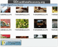 Screenshot of Mac Pictures Recovery 5.3.1.2