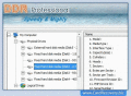 Screenshot of Professional Card Recovery Software 4.0.1.6