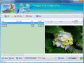 Screenshot of FPicsoft Free Image Converter 1.0