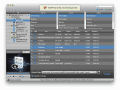 Screenshot of AnyMP4 iPad to Mac Transfer 6.1.12