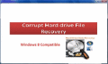 Screenshot of Corrupt Hard drive File Recovery 4.0.0.32