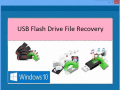 Screenshot of Flash Drive Data Recovery 4.0.0.34