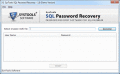 Screenshot of Recover Lost SQL Password 1.0