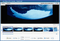 Screenshot of Free Video to GIF Converter 1.6.1
