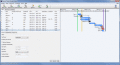Screenshot of Express Project Business Project Manager 1.0