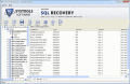 Screenshot of SQL MDF File Repair Procedure 5.5