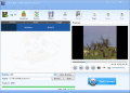Screenshot of Lionsea MTS To AVI Converter Ultimate 4.9.5