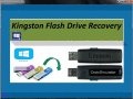 Screenshot of Kingston Flash Drive Recovery 4.0.0.32
