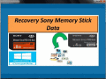 Screenshot of Recovery Sony Memory Stick Data 4.0.0.32