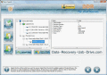 Screenshot of Data Recovery USB Drive Software 5.3.1.2