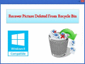 Screenshot of Recover Picture Deleted From Recycle Bin 4.0.0.32