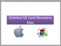 Screenshot of Deleted SD Card Recovery Mac 1.0.0.25