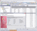 Screenshot of EMS SQL Manager for InterBase/Firebird 5.2